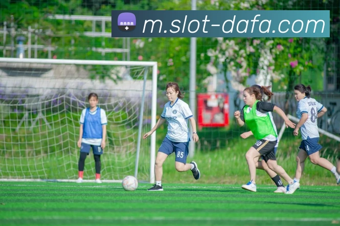 大发娱乐平台生态图